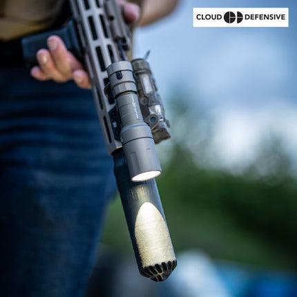 Cloud Defensive REIN Micro Weapon Light FDE